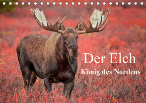 Der Elch – König des Nordens (Tischkalender 2021 DIN A5 quer) von Paletta (www.finntastic.de),  Inken, Pelzer / www.Pelzer-Photography.com,  Claudia