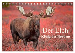 Der Elch – König des Nordens (Tischkalender 2024 DIN A5 quer), CALVENDO Monatskalender von Pelzer,  Inken Paletta,  Claudia