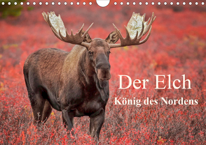 Der Elch – König des Nordens (Wandkalender 2021 DIN A4 quer) von Paletta (www.finntastic.de),  Inken, Pelzer / www.Pelzer-Photography.com,  Claudia