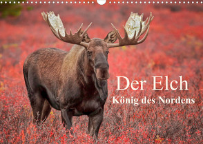 Der Elch – König des Nordens (Wandkalender 2022 DIN A3 quer) von Paletta (www.finntastic.de),  Inken, Pelzer / www.Pelzer-Photography.com,  Claudia