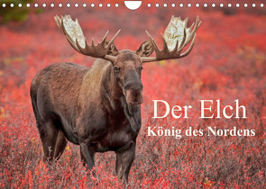 Der Elch – König des Nordens (Wandkalender 2022 DIN A4 quer) von Paletta (www.finntastic.de),  Inken, Pelzer / www.Pelzer-Photography.com,  Claudia