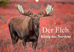 Der Elch – König des Nordens (Wandkalender 2023 DIN A3 quer) von Paletta,  Inken, Pelzer,  Claudia