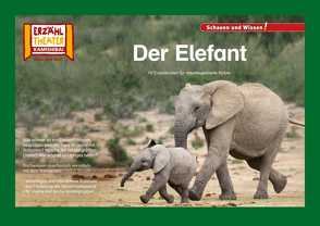 Der Elefant / Kamishibai Bildkarten