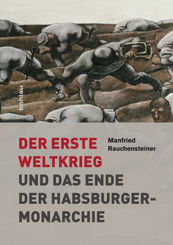 Der Erste Weltkrieg von Rauchensteiner,  Manfried