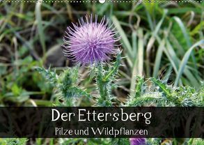 Der Ettersberg – Pilze und Wildpflanzen (Wandkalender 2018 DIN A2 quer) von Schachtschabel,  Jan