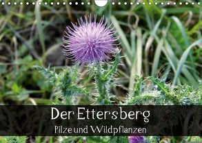 Der Ettersberg – Pilze und Wildpflanzen (Wandkalender 2018 DIN A4 quer) von Schachtschabel,  Jan