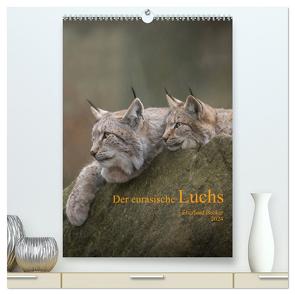 Der eurasische Luchs (hochwertiger Premium Wandkalender 2024 DIN A2 hoch), Kunstdruck in Hochglanz von Becker,  Eberhard