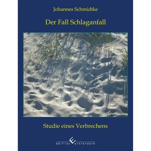 Der Fall Schlaganfall von Schmidtke,  Johannes