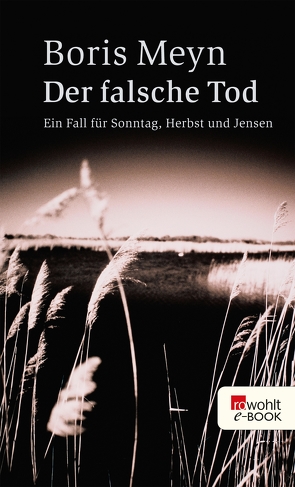 Der falsche Tod von Meyn,  Boris