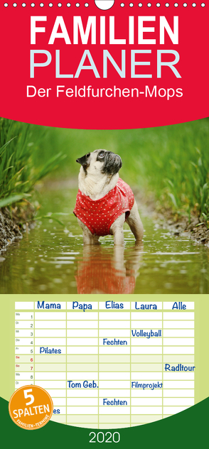 Der Feldfurchen-Mops – Familienplaner hoch (Wandkalender 2020 , 21 cm x 45 cm, hoch) von Köntopp,  Kathrin