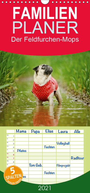 Der Feldfurchen-Mops – Familienplaner hoch (Wandkalender 2021 , 21 cm x 45 cm, hoch) von Köntopp,  Kathrin