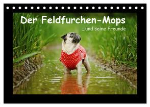 Der Feldfurchen-Mops (Tischkalender 2024 DIN A5 quer), CALVENDO Monatskalender von Köntopp,  Kathrin