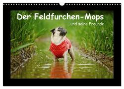 Der Feldfurchen-Mops (Wandkalender 2024 DIN A3 quer), CALVENDO Monatskalender von Köntopp,  Kathrin