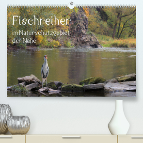 Der Fischreiher im Naturschutzgebiet der Nahe (Premium, hochwertiger DIN A2 Wandkalender 2021, Kunstdruck in Hochglanz) von Sauer / raimondo / www.raimondophoto.net,  Raimund