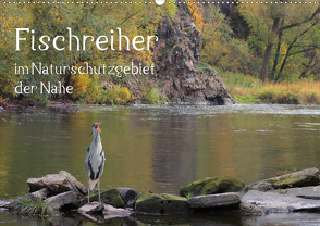 Der Fischreiher im Naturschutzgebiet der Nahe (Wandkalender 2020 DIN A2 quer) von Sauer / raimondo / www.raimondophoto.net,  Raimund