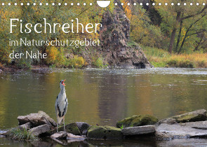 Der Fischreiher im Naturschutzgebiet der Nahe (Wandkalender 2022 DIN A4 quer) von Sauer / raimondo / www.raimondophoto.net,  Raimund