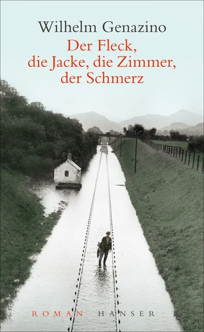 Der Fleck, die Jacke, die Zimmer, der Schmerz von Genazino,  Wilhelm