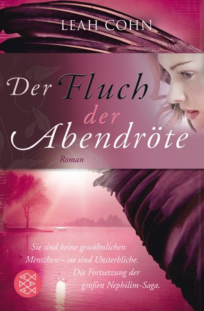 Der Fluch der Abendröte von Cohn,  Leah