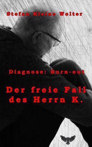 Der freie Fall des Herrn K. von Kleine Wolter,  Stefan