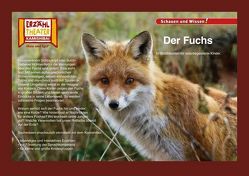 Der Fuchs / Kamishibai Bildkarten