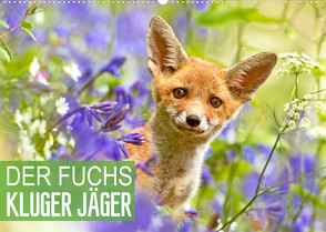 Der Fuchs: Kluger Jäger (Wandkalender 2022 DIN A2 quer) von CALVENDO