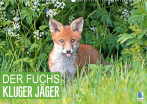 Der Fuchs: Kluger Jäger (Wandkalender 2023 DIN A2 quer) von CALVENDO