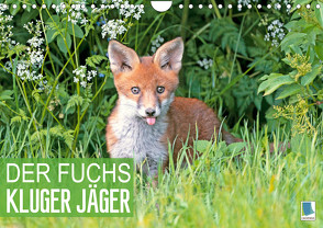 Der Fuchs: Kluger Jäger (Wandkalender 2023 DIN A4 quer) von CALVENDO