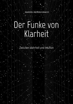 Der Funke von Klarheit von Mendez Fracci,  Manuel