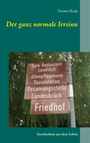 Der ganz normale Irrsinn von Raap,  Torsten