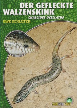 Der Gefleckte Walzenskink von Uwe,  Schlüter