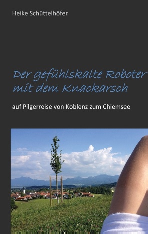 Der gefühlskalte Roboter mit dem Knackarsch von Schüttelhöfer,  Heike