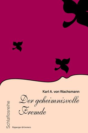 Der geheimnisvolle Fremde von von Wachsmann,  Karl A.