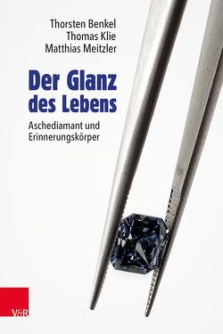 Der Glanz des Lebens von Benkel,  Thorsten, Klie,  Thomas, Meitzler,  Matthias