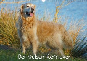 Der Golden Retriever (Posterbuch DIN A4 quer) von Kattobello,  k.A.