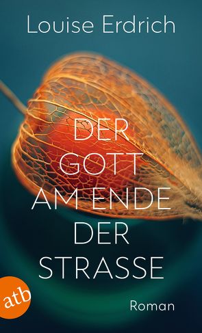 Der Gott am Ende der Straße von Erdrich,  Louise, Schröder,  Gesine