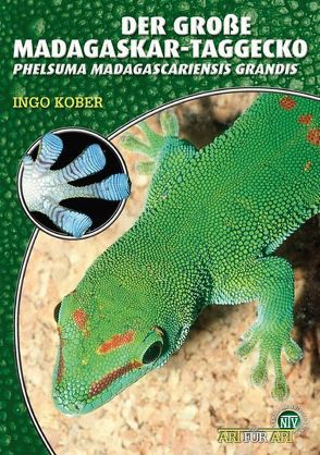 Der Große Madagaskar-Taggecko von Kober,  Ingo