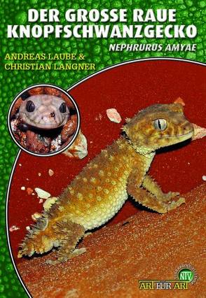 Der Grosse Raue Knopfschwanzgecko von Langner,  Christian, Laube,  Andreas