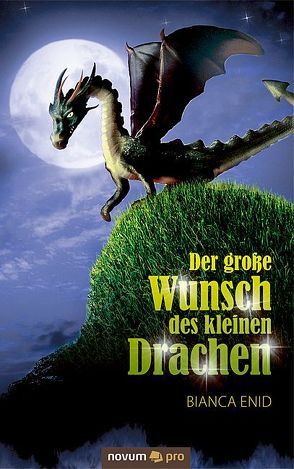 Der große Wunsch des kleinen Drachen von Enid,  Bianca