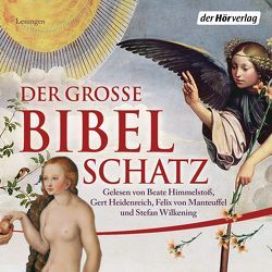 Der große Bibelschatz von Heidenreich,  Gert, Himmelstoss, ,  Beate, Manteuffel,  Felix von, Wilkening,  Stefan