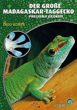 Der Große Madagaskar-Taggecko von Kober,  Ingo