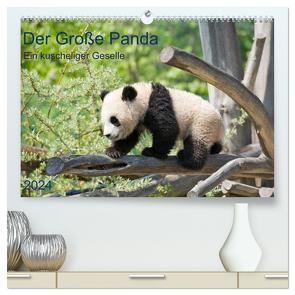 Der Große Panda Ein kuscheliger Geselle (hochwertiger Premium Wandkalender 2024 DIN A2 quer), Kunstdruck in Hochglanz von Selection,  Prime