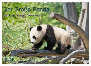 Der Große Panda Ein kuscheliger Geselle (Wandkalender 2024 DIN A2 quer), CALVENDO Monatskalender von Selection,  Prime