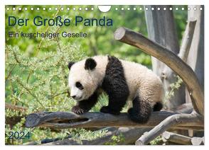 Der Große Panda Ein kuscheliger Geselle (Wandkalender 2024 DIN A4 quer), CALVENDO Monatskalender von Selection,  Prime