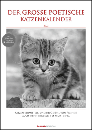 Der große poetische Katzenkalender 2023 – Bildkalender A3 (29,7×42 cm) – mit schönen Zitaten – schwarz-weiß – Tierkalender – Wandplaner – Wandkalender von Bollich,  Heidi