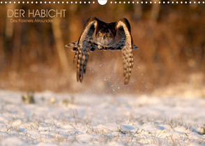 DER HABICHT, Des Falkners Allrounder (Wandkalender 2023 DIN A3 quer) von Brandmeier,  Wolfgang