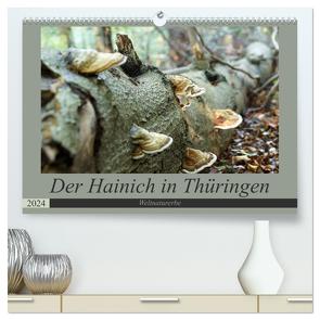 Der Hainich in Thüringen – Weltnaturerbe (hochwertiger Premium Wandkalender 2024 DIN A2 quer), Kunstdruck in Hochglanz von Flori0,  Flori0