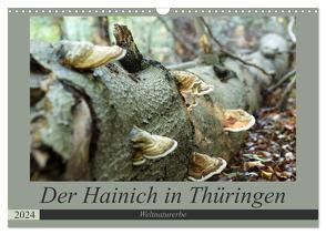 Der Hainich in Thüringen – Weltnaturerbe (Wandkalender 2024 DIN A3 quer), CALVENDO Monatskalender von Flori0,  Flori0