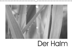 Der Halm (Wandkalender 2018 DIN A3 quer) von Stehlmann,  Ute