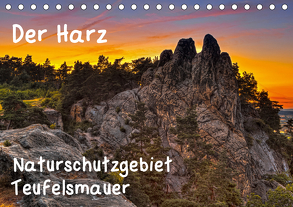 Der Harz, Naturschutzgebiet Teufelsmauer (Tischkalender 2020 DIN A5 quer) von Kühne,  Daniel