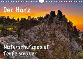 Der Harz, Naturschutzgebiet Teufelsmauer (Wandkalender 2019 DIN A4 quer) von Kühne,  Daniel